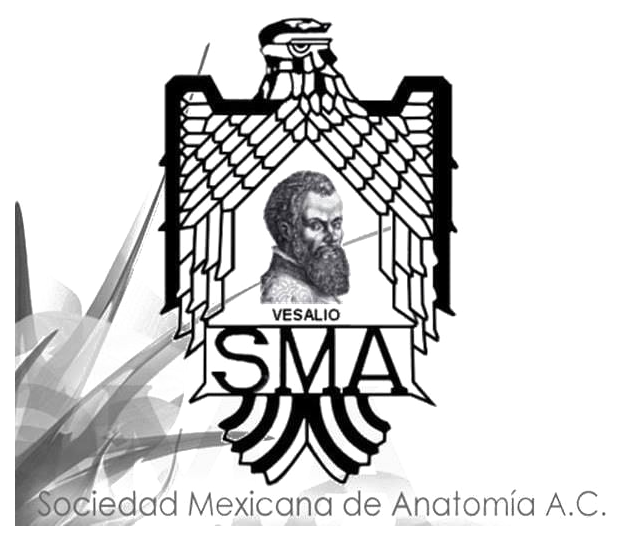 Logo de la Sociedad Mexicana de Anatomía